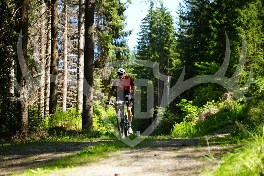 FC101444 | Fotogalerie der Treibjagd im Dunkelwald - Dein MTB Etappenrennen im Erzgebirge - Realisiert mit Pictrs.com