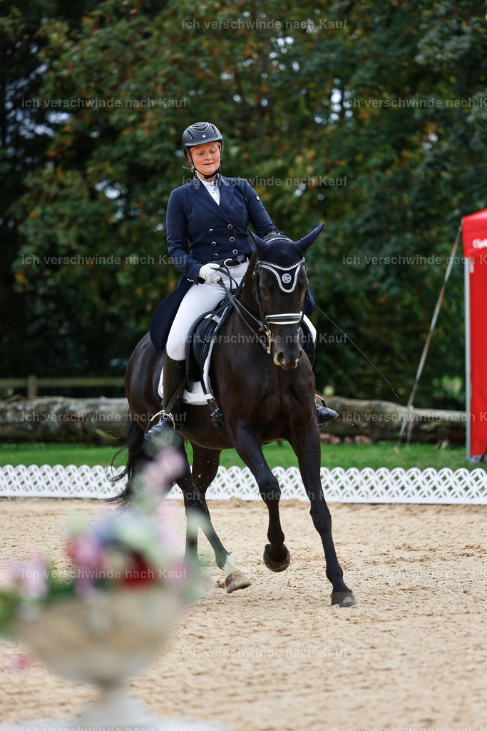 8_1-034-Klasse S_  -StoibPH-3795 | working equitationturnier fotograf videograf stoibphotography marixx film working equitation deutschland reitsport turnierfotografie eventfotografie equestrian events