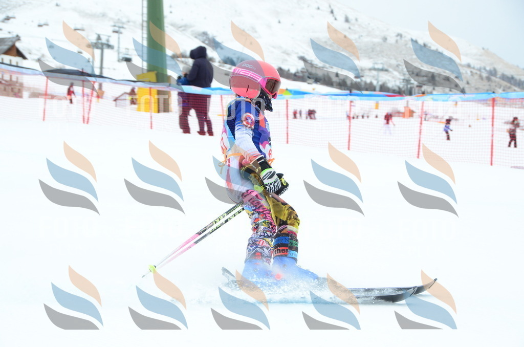 DSC_1045 | holidayphoto