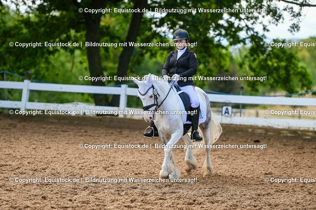 20230716_04_Dressurreiterprüfung Kl.A_0396 | equistock