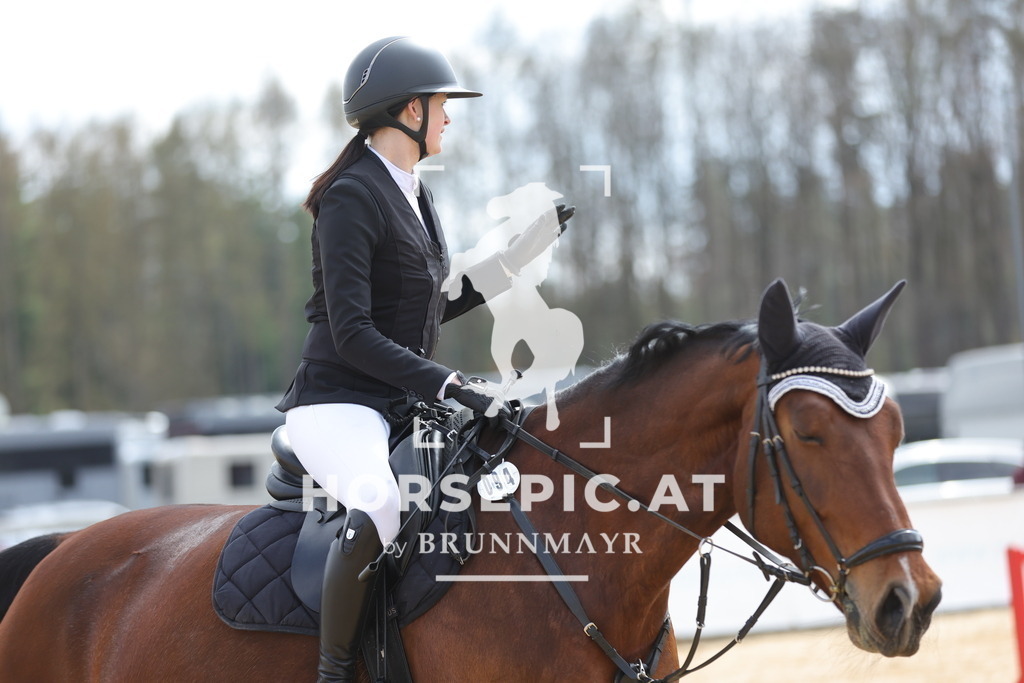 0P6A7354 | Willkommen bei Brunnmayr - Design & Fotografie – Ihrem Spezialisten für Reitturniere und Pferdeveranstaltungen in Oberösterreich, Salzburg und Bayern! Seit über 17 Jahren sind wir leidenschaftlich dabei.