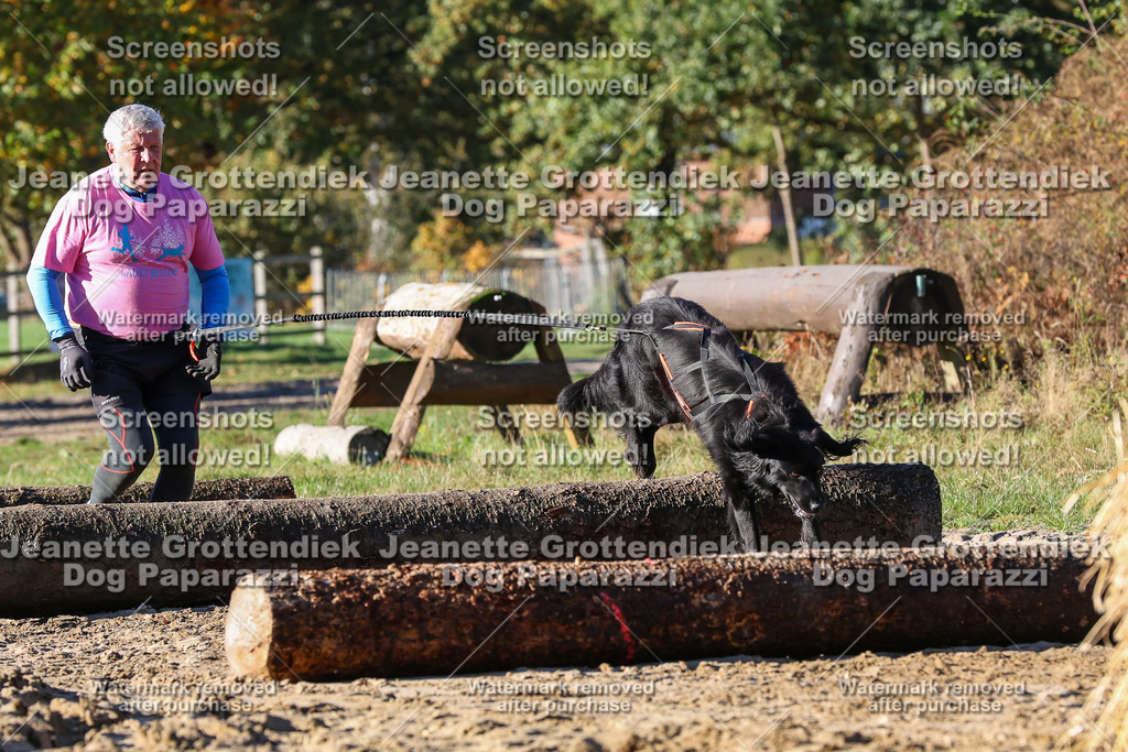Dog Paparazzi - Strongdog 10-25-1639 | Dog Paparazzi Jeanette Grottendiek Fotografie & Videografie - Realisiert mit Pictrs.com