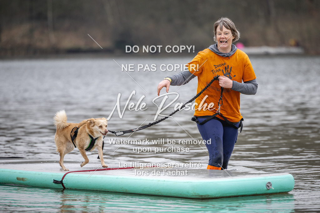 nelerasche_Hulsbeek_Sa1330-1430_81 | nelerasche