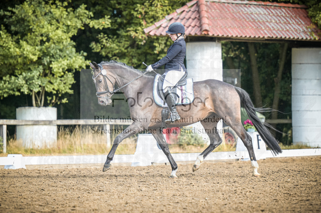 DOS_0053 | Entdecke hochwertige Reitturnierfotos von Foto Oger. Professionell, emotional und authentisch – jetzt Lieblingsmomente im Shop bestellen.Deutschlandweite Turnierfotografie. - Realisiert mit Pictrs.com