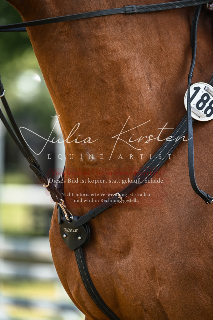 DSC_7751 | Pferde- und Turnierfotografie in Westsachsen. Pferdeportraits, Auftragszeichnungen und intuitive Kunst.