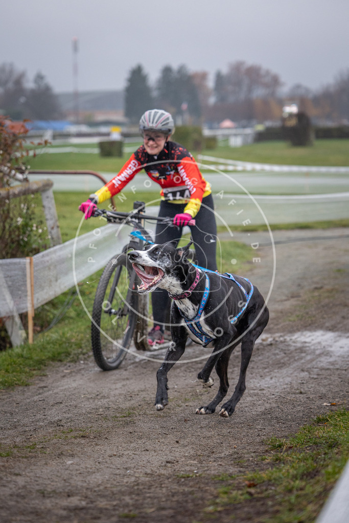CaniXpix_0L8A0677 | Hundefotografie, Tierfotograf, Pfotenfotografie, Fotoshooting Hund, Hunde Portrait, Hundesport, Hundeportraits, Heideshooting, Hunde, Sportfotograf, Hundefotograf, Turnierhundsport, THS,  - Realisiert mit Pictrs.com