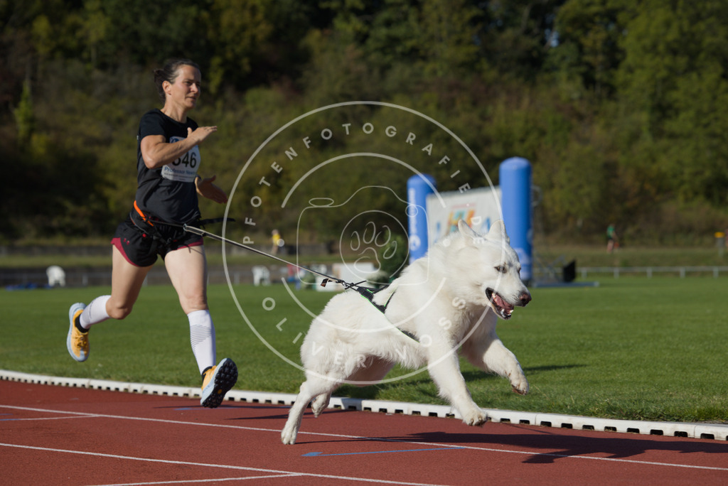 0L8A9415 | Hundefotografie, Tierfotograf, Pfotenfotografie, Fotoshooting Hund, Hunde Portrait, Hundesport, Hundeportraits, Heideshooting, Hunde, Sportfotograf, Hundefotograf, Turnierhundsport, THS,  - Realisiert mit Pictrs.com