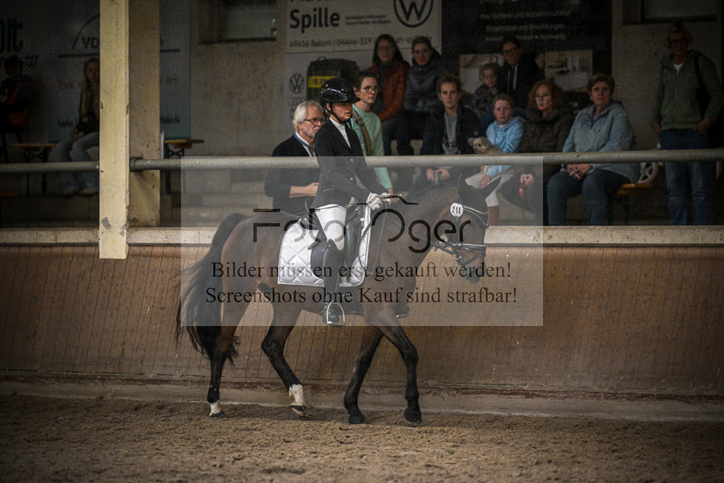 DOS_0980 | Entdecke hochwertige Reitturnierfotos von Foto Oger. Professionell, emotional und authentisch – jetzt Lieblingsmomente im Shop bestellen.Deutschlandweite Turnierfotografie. - Realisiert mit Pictrs.com