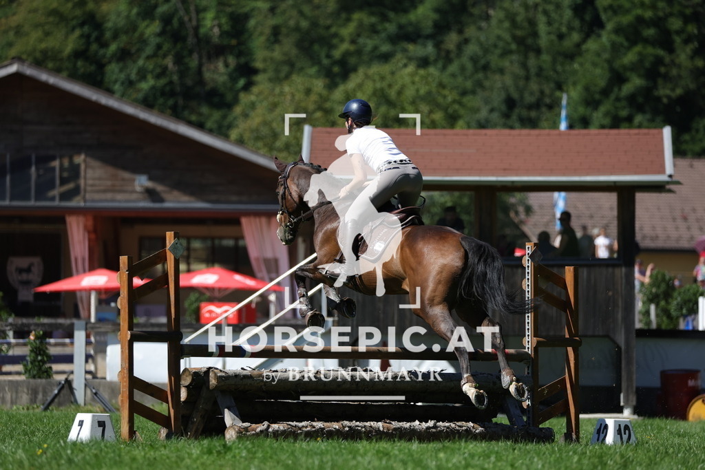 0P6A6518 | Willkommen bei Brunnmayr - Design & Fotografie – Ihrem Spezialisten für Reitturniere und Pferdeveranstaltungen in Oberösterreich, Salzburg und Bayern! Seit über 17 Jahren sind wir leidenschaftlich dabei.