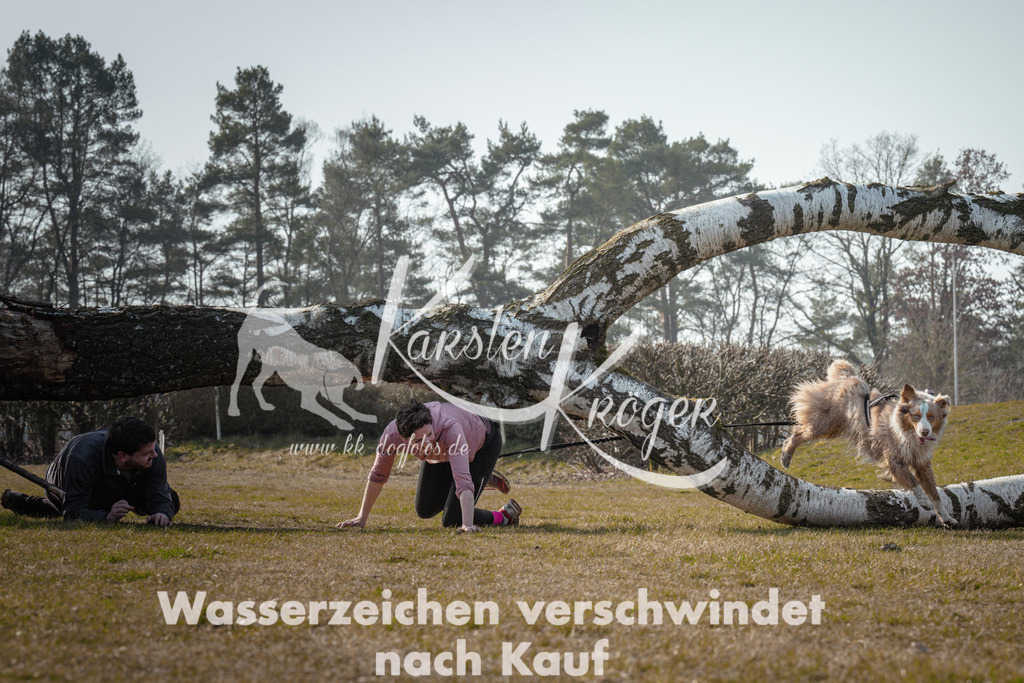 1036_ZZ93142 | kk-dogfotos