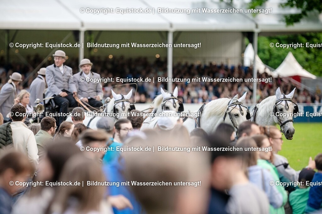 20250606_Lange-Pferdenacht_0251 | Foto: Thomas Hartig