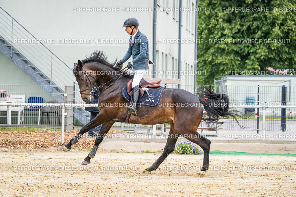 DSC02631 | Pferdegrafie