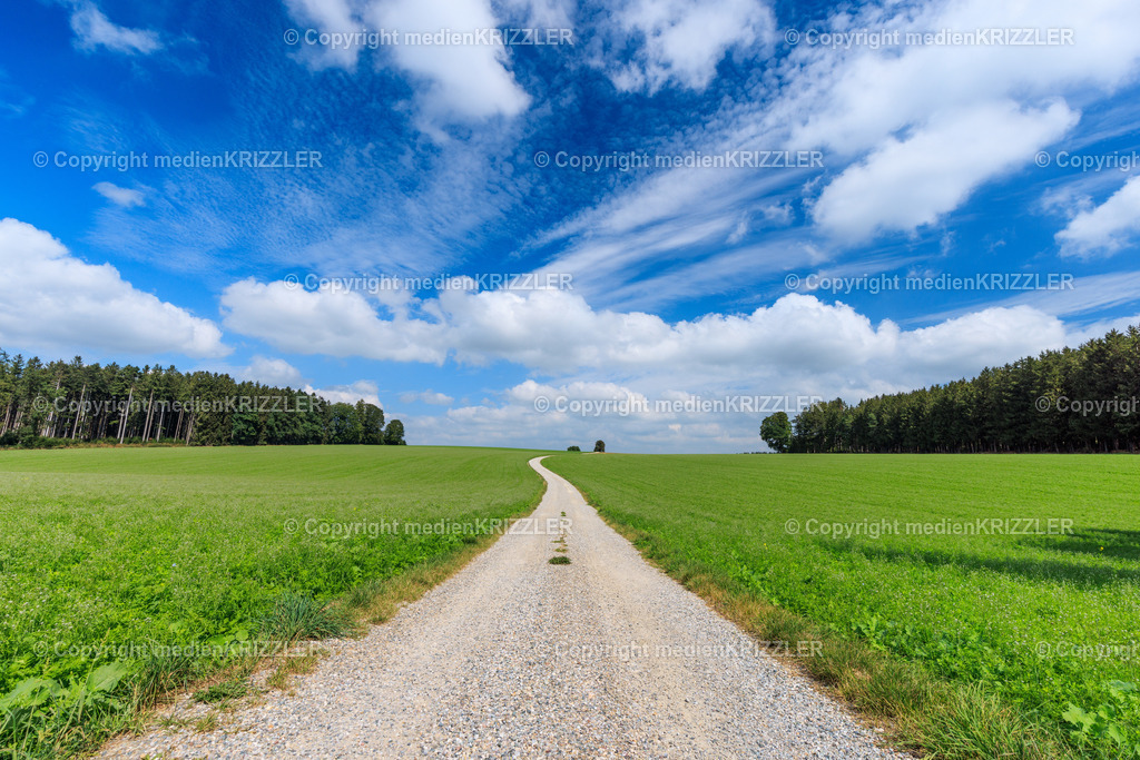 _J3A8513 | medienkrizzler - Realisiert mit Pictrs.com