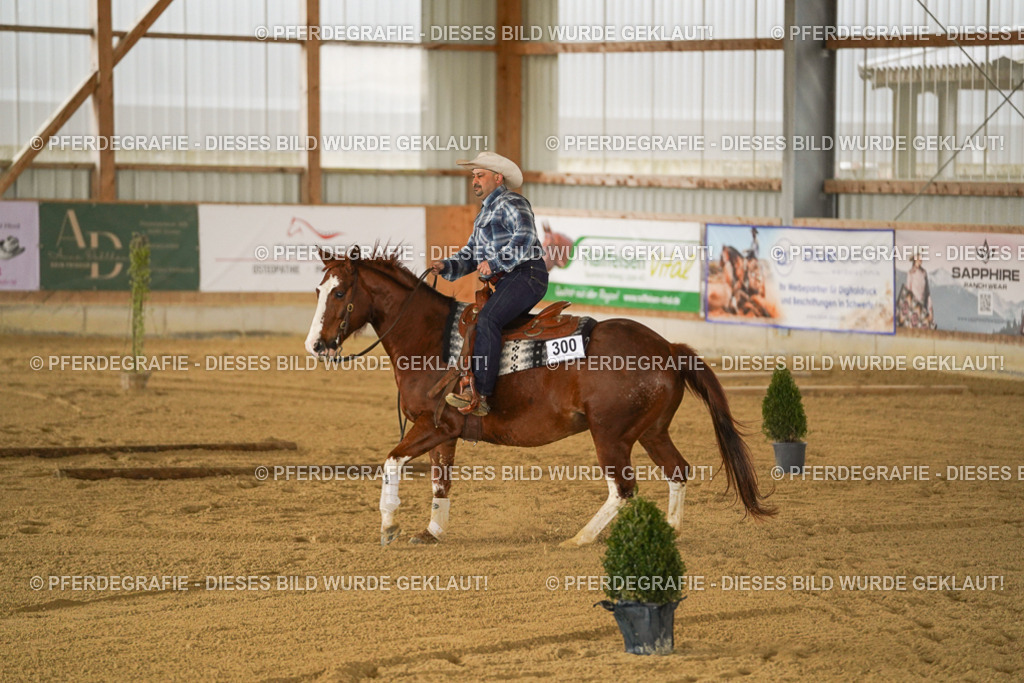 DSC04061 | Pferdegrafie