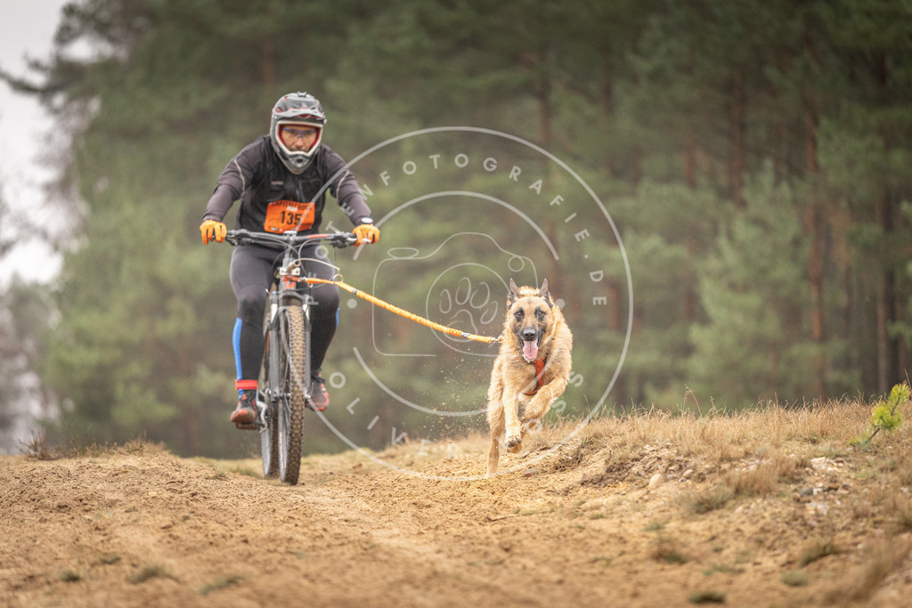 Pfotenfotografie_DV3A3803 | Hundefotografie, Tierfotograf, Pfotenfotografie, Fotoshooting Hund, Hunde Portrait, Hundesport, Hundeportraits, Heideshooting, Hunde, Sportfotograf, Hundefotograf, Turnierhundsport, THS,  - Realisiert mit Pictrs.com