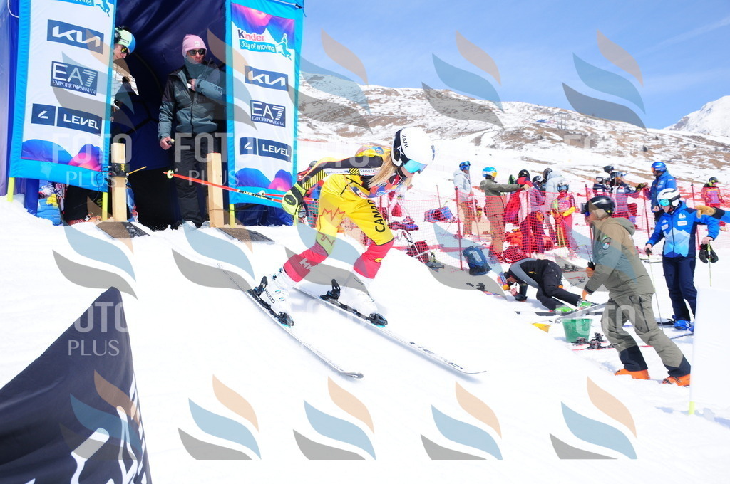 DSC_6843 | holidayphoto