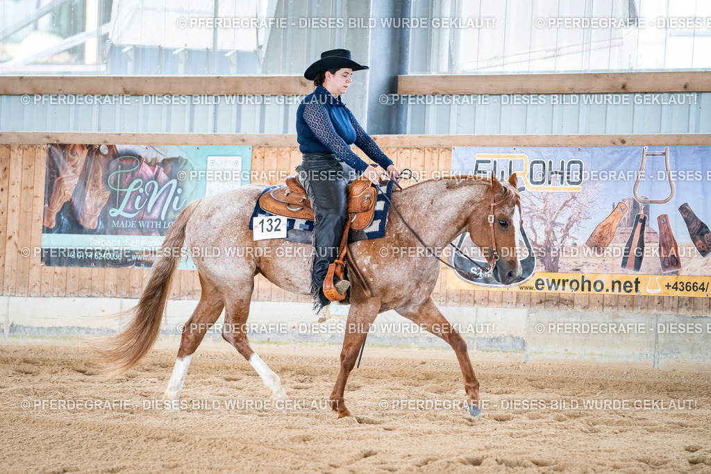 DSC02022 | Pferdegrafie