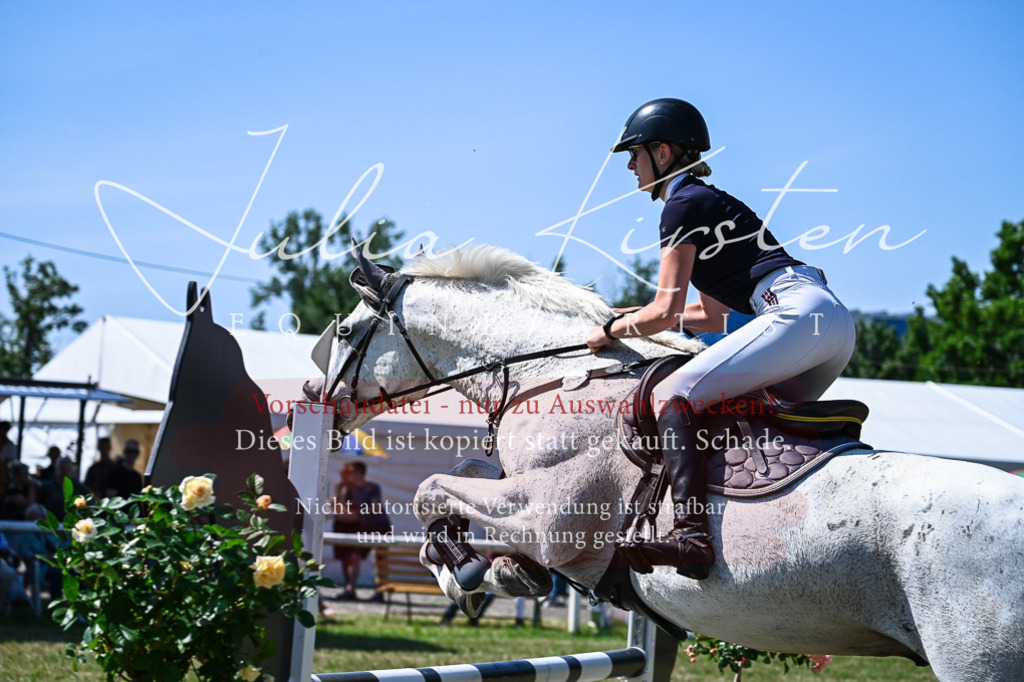 DSC_1097 | Pferde- und Turnierfotografie in Westsachsen. Pferdeportraits, Auftragszeichnungen und intuitive Kunst.
