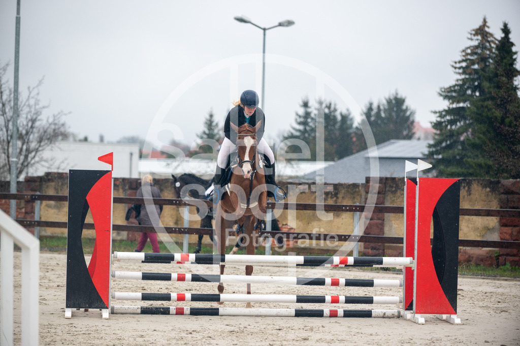 DSC_8655 | sattelsport - Realisiert mit Pictrs.com