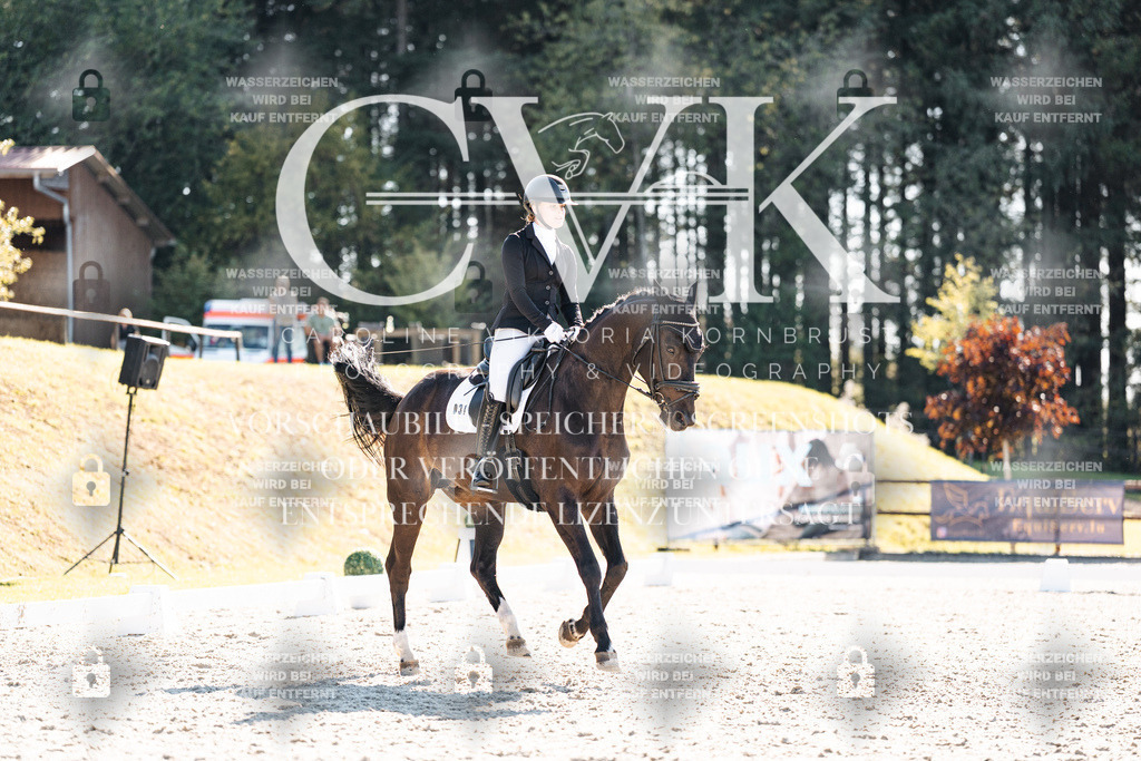 CK905834 | Turnierfotografie Pferdefotografie Trier Rheinland-Pfalz Pferdesport Reitsport Tierfotografie Sportfotografie Pferdevideo Pferdevideografie Equestrianvideography equestrianphotography  - Realisiert mit Pictrs.com