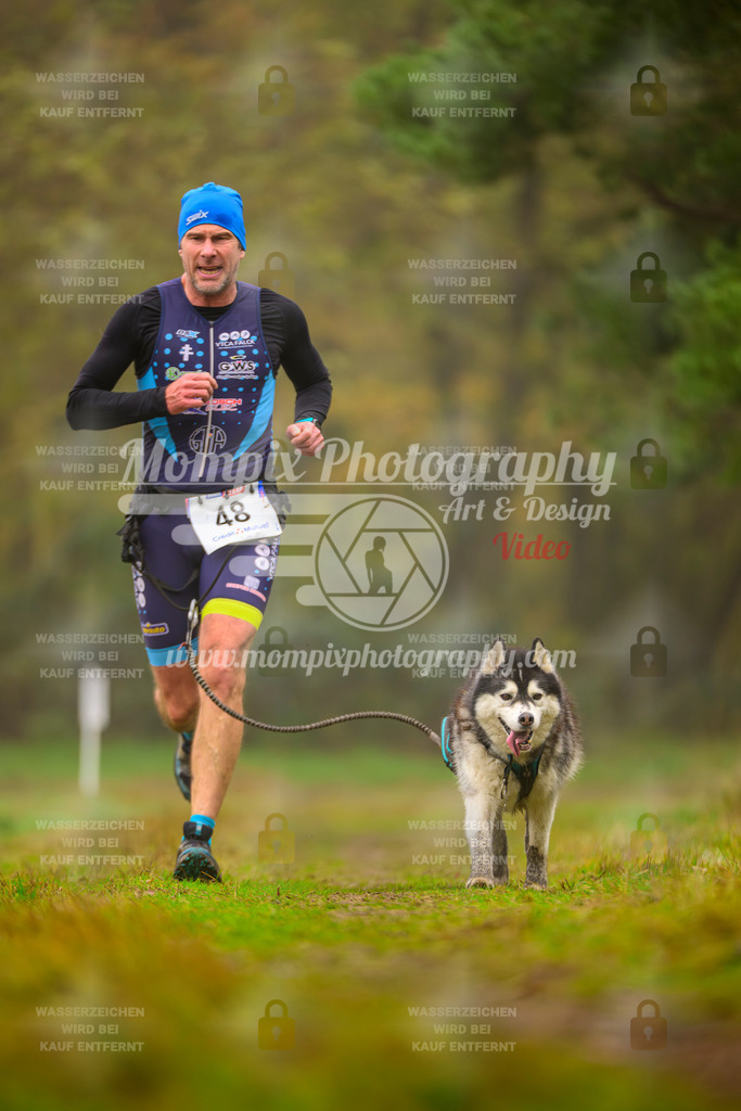 MompixPhotography_Bischwiller2025_Canicross-161 | mompixphotography