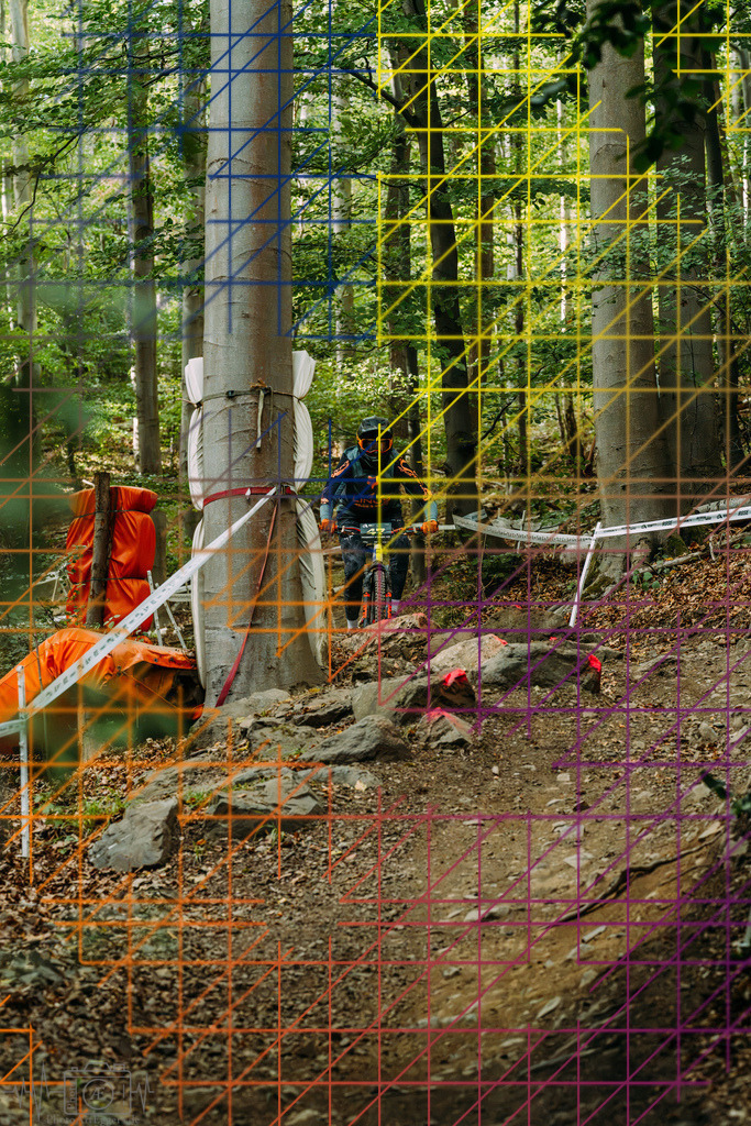 PAE-2368 | Einzigartige Fotokunst für dein Zuhause: Entdecke hochwertige Wandbilder, edle Prints und emotionale Motive von Wildlife, Natur und Landschaften - Realisiert mit Pictrs.com