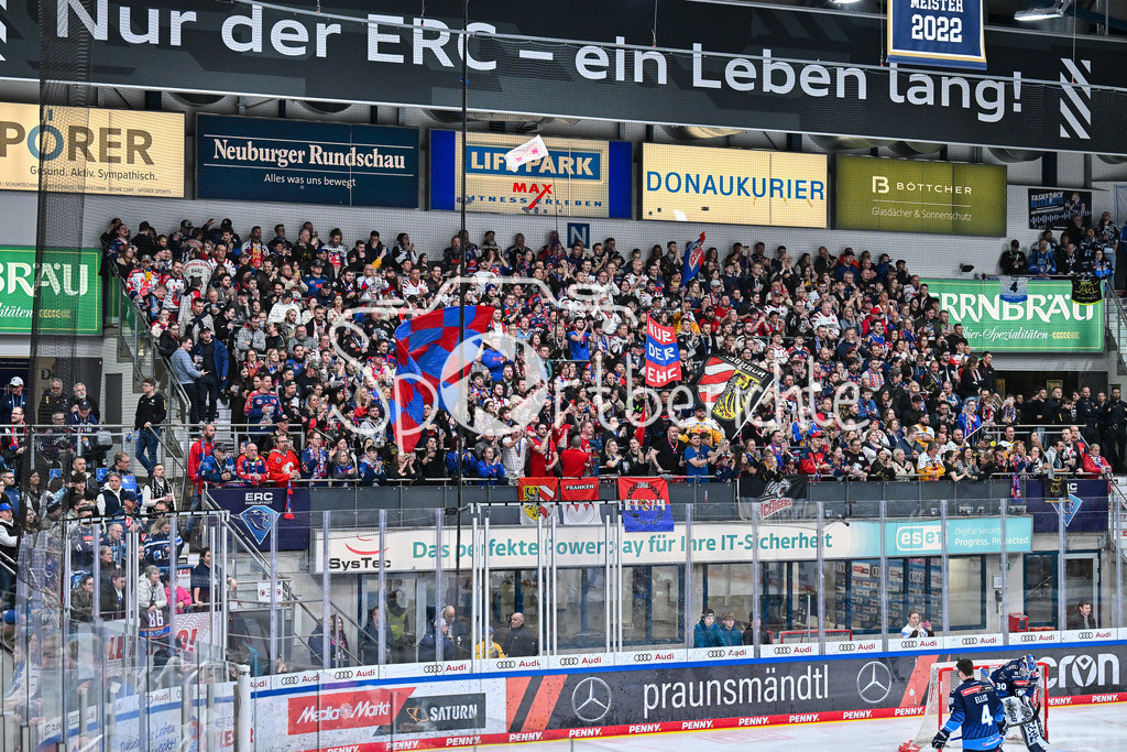 ERC Ingolstadt - Nuernberg Ice Tigers | Die mitgereisten Fans aus Nuerberg unterstuetzen ihre Mannschaft in Ingolstadt / DEL: ERC Ingolstadt - Nuernberg Ice Tigers, Saturn Arena am 21.03.2025