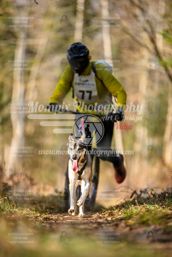 MompixPhotography_6ReiatRennen2026_SO_Scooter-37 | PayLife
