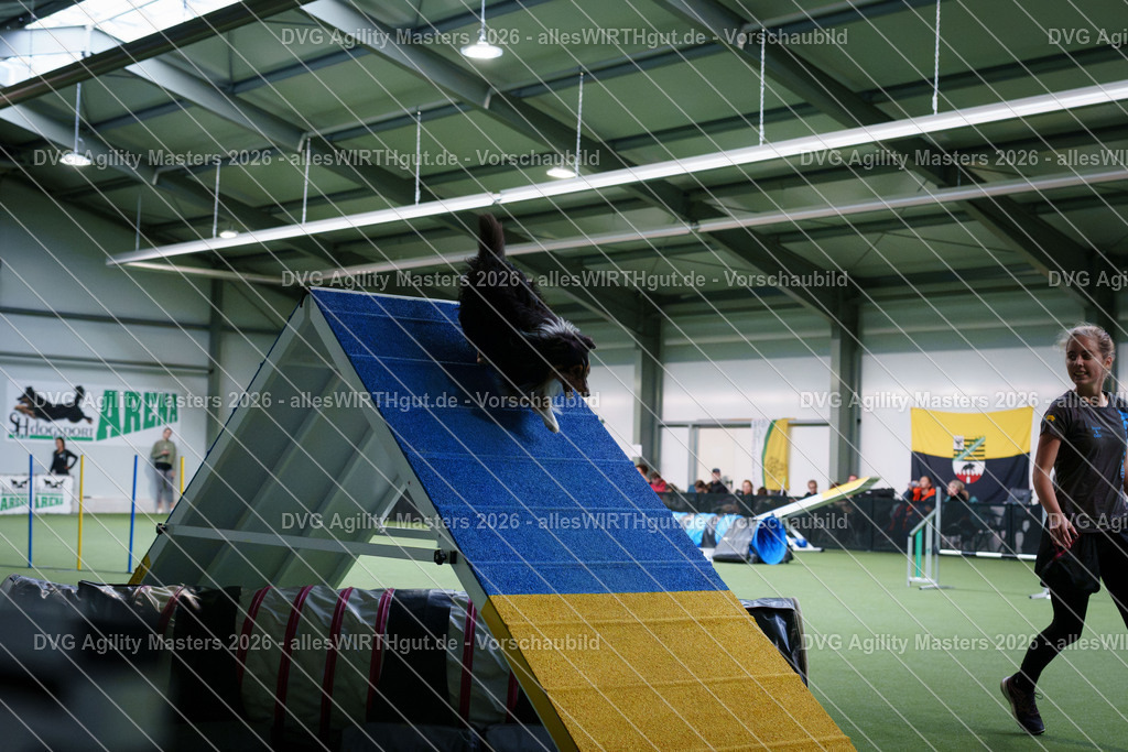 allesWIRTHgut_Tierfotografie-DVG_Agility_Masters_2026-14_57-7R505799 | Professionelle Tierfotografie in Mönchengladbach von Daniel Wirth (allesWIRTHgut). Liebevolle & natürliche Bilder von Hunden & Katzen für unvergessliche Erinnerungen.