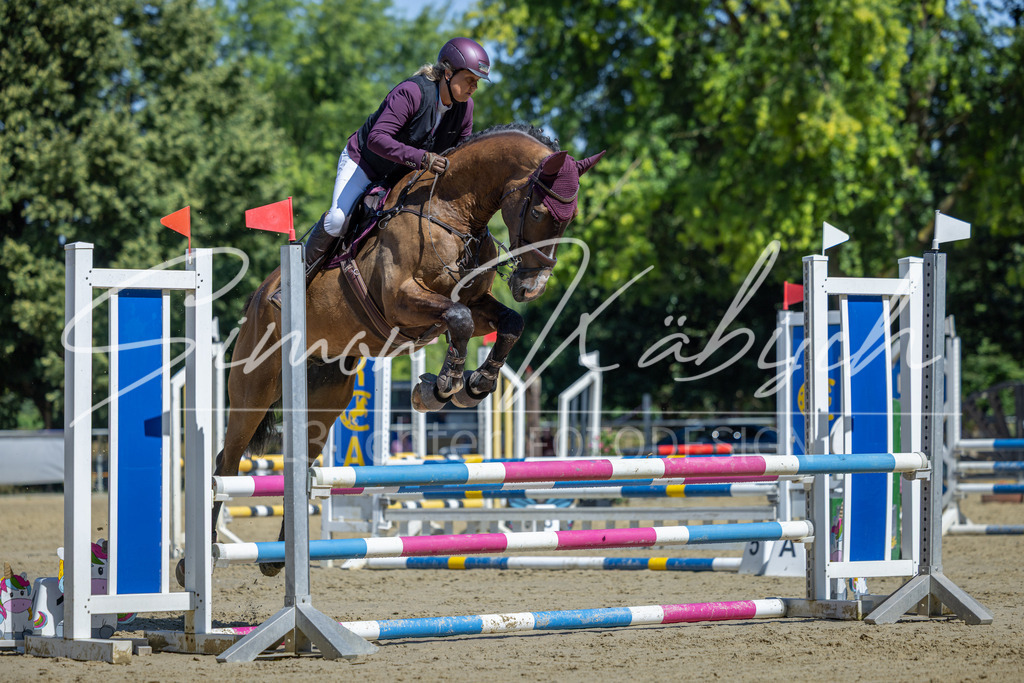 20260704-_3LI7661 | Tierfotografie Pferde, Hunde, Katzen, Haustiere.
Turnierfotografie Reitturniere, Reiten, Springreiten, Dressur in Hanau, dem Main-Kinzig-Kreis und dem Rhein-Main- Gebiet um Frankfurt