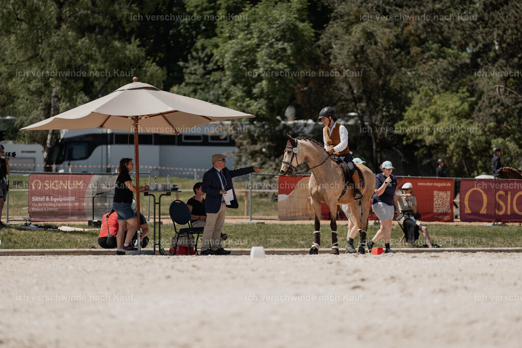 WE_SP_Stoib_334_PI2025_1813 | Pferd International München 2025