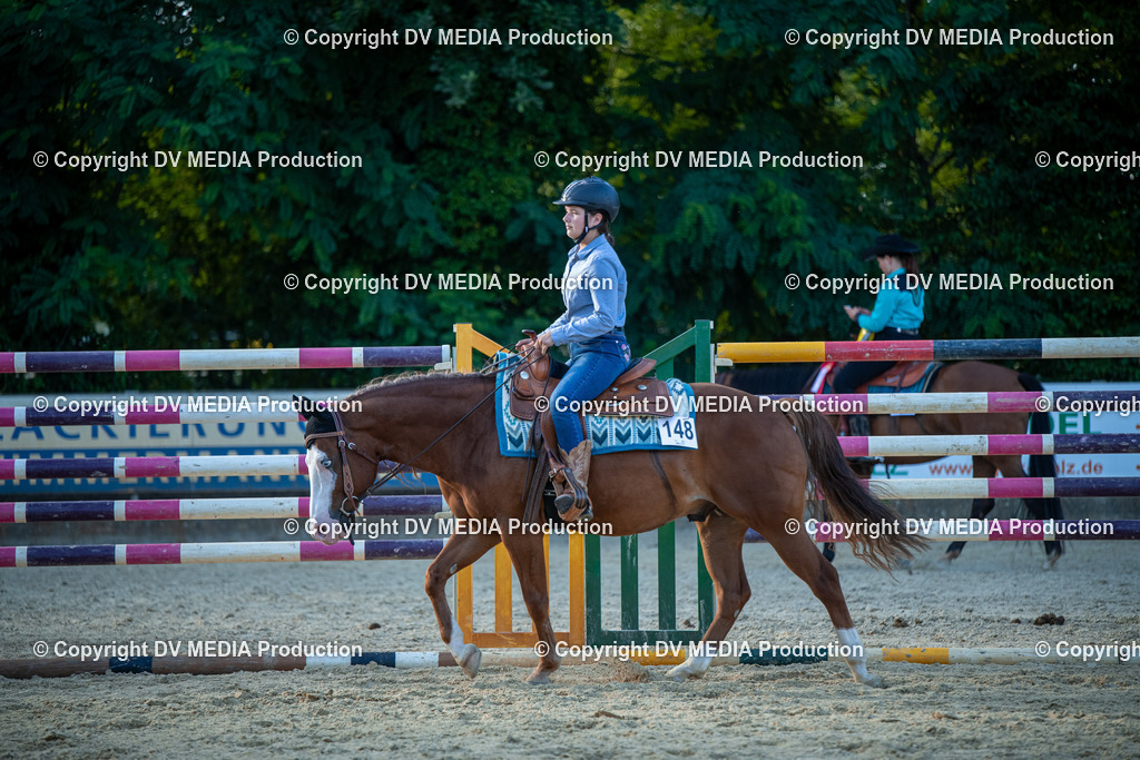 EWP_7214 | dv-media-shop - Realisiert mit Pictrs.com