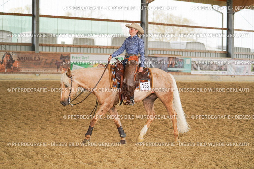 DSC05865 | Pferdegrafie