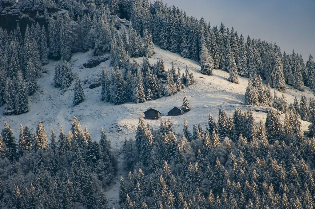 PSX_20221202_235734 | mtkfoto_ - Realisiert mit Pictrs.com