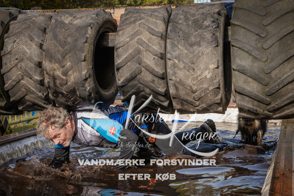 1411_ZZ94083 | kk-dogfotos