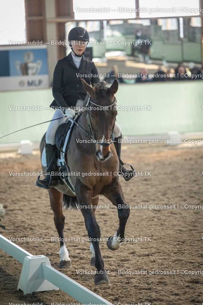 _D5A8381 | Emotionale Pferde- & People-Fotografie rund um Heidelberg, Leimen & Umgebung. Natürliche Fotos von Pferd, Mensch & Familie. Jetzt Termin sichern!