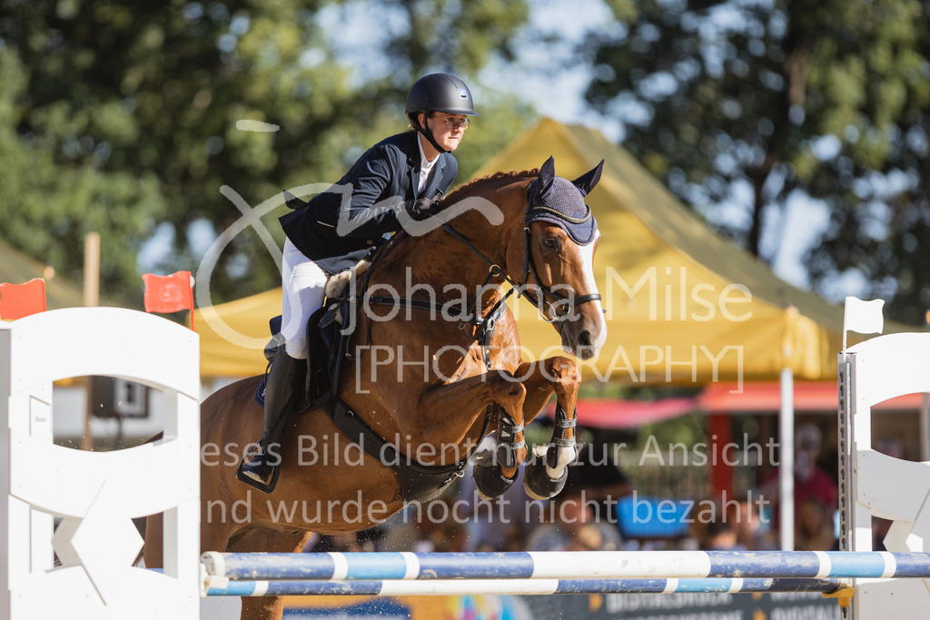 220828_Delbrueck_A2-Spr-212 | Deine schönsten Turniermomente als professionelle Fotos! Entdecke hochwertige Pferdesport-Fotografie im Online-Shop. Jetzt Fotos finden & bestellen!