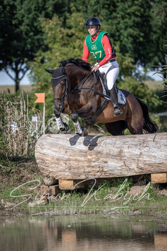 20250907-_3LI3822 | Tierfotografie Pferde, Hunde, Katzen, Haustiere.
Turnierfotografie Reitturniere, Reiten, Springreiten, Dressur in Hanau, dem Main-Kinzig-Kreis und dem Rhein-Main- Gebiet um Frankfurt