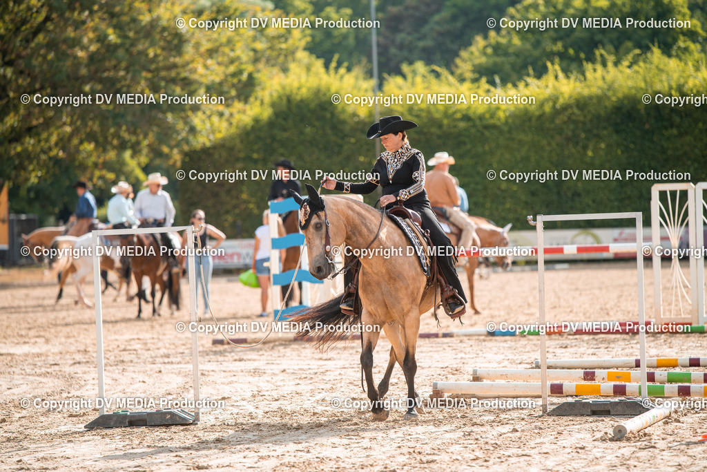 ZS3_9120 | dv-media-shop - Realisiert mit Pictrs.com