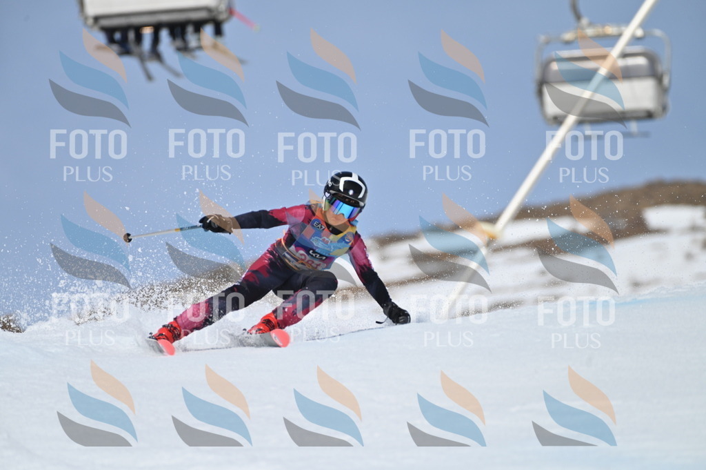 BGV_4189 | holidayphoto