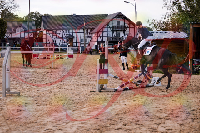 2026_10_03_Siefer-Hof_145939_Z81_42056282 | Professionelle Reitsport-, Turnier- und Eventfotografie von Robert Broda. Galerien mit ausgewählten und bearbeiteten Bildern direkt online ansehen und bestellen.