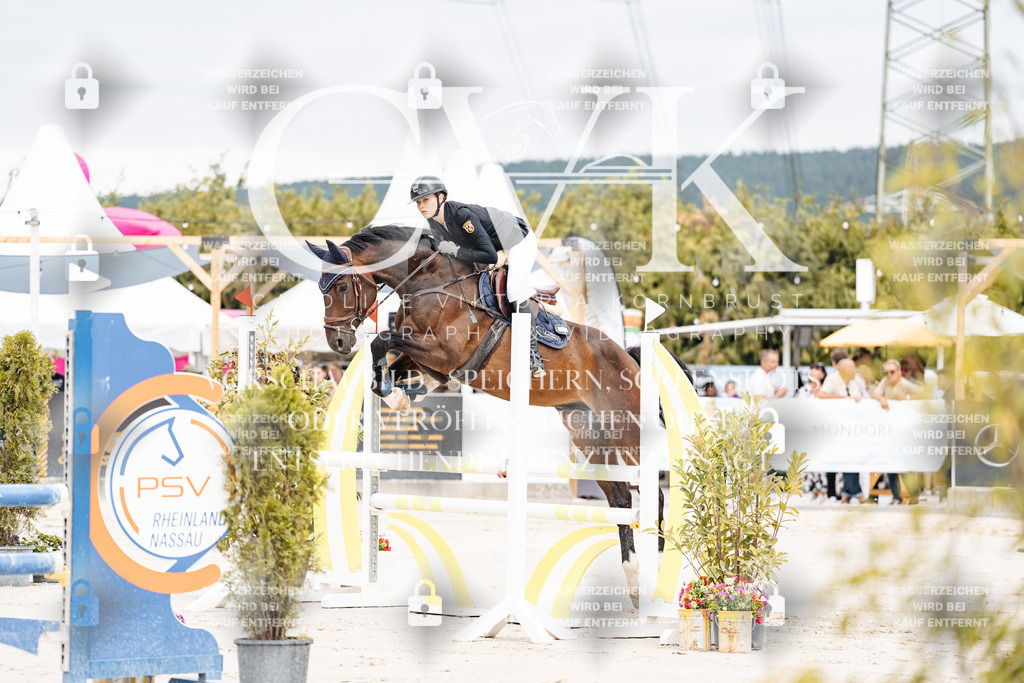 CK906196 | Turnierfotografie Pferdefotografie Trier Rheinland-Pfalz Pferdesport Reitsport Tierfotografie Sportfotografie Pferdevideo Pferdevideografie Equestrianvideography equestrianphotography  - Realisiert mit Pictrs.com