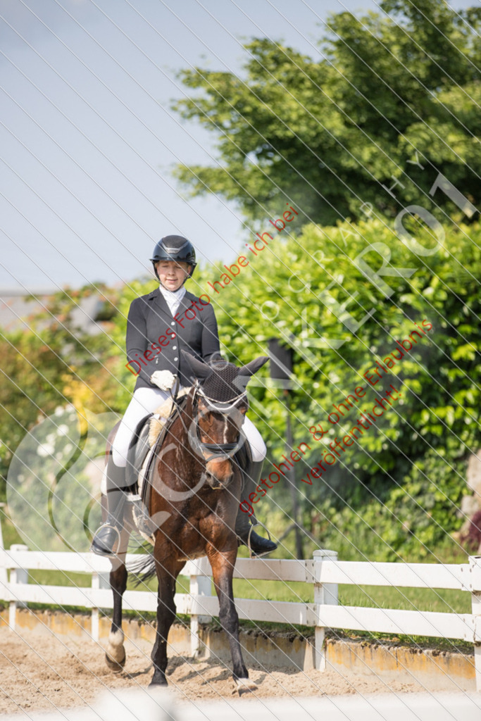 IMG_2831 | Sport-, Event- und Tierfotos in Profiqualität. Einfach auswählen, bestellen und herunterladen. Dein Moment – perfekt festgehalten.