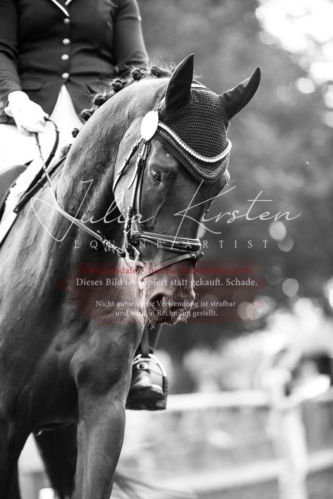 DSC_3730 | Pferde- und Turnierfotografie in Westsachsen. Pferdeportraits, Auftragszeichnungen und intuitive Kunst.