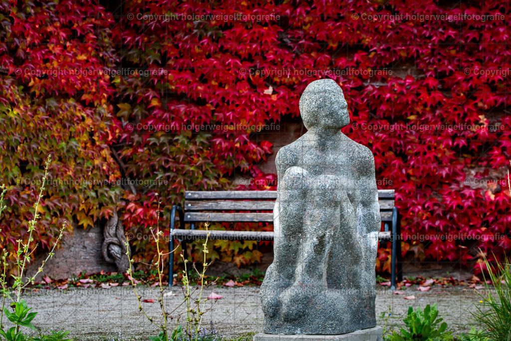 20251019172029D75_8928 | Kaufen sie online außergewöhnliche Fotografien auf Leinwand Acrylglas Fotoprint Aludibond von holgerweigeltfotografie - Realisiert mit Pictrs.com