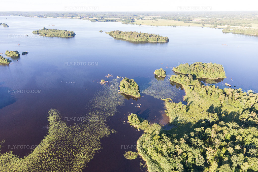 Aerial view: View of the town in Skäggalösa in the state Kronoberg, Sweden. – Photo: IMG_108315.jpg taken on 06/30/2018 by Werner Riehm/FLY-FOTO.com – Resolution of the original: 5472 x 3648 px