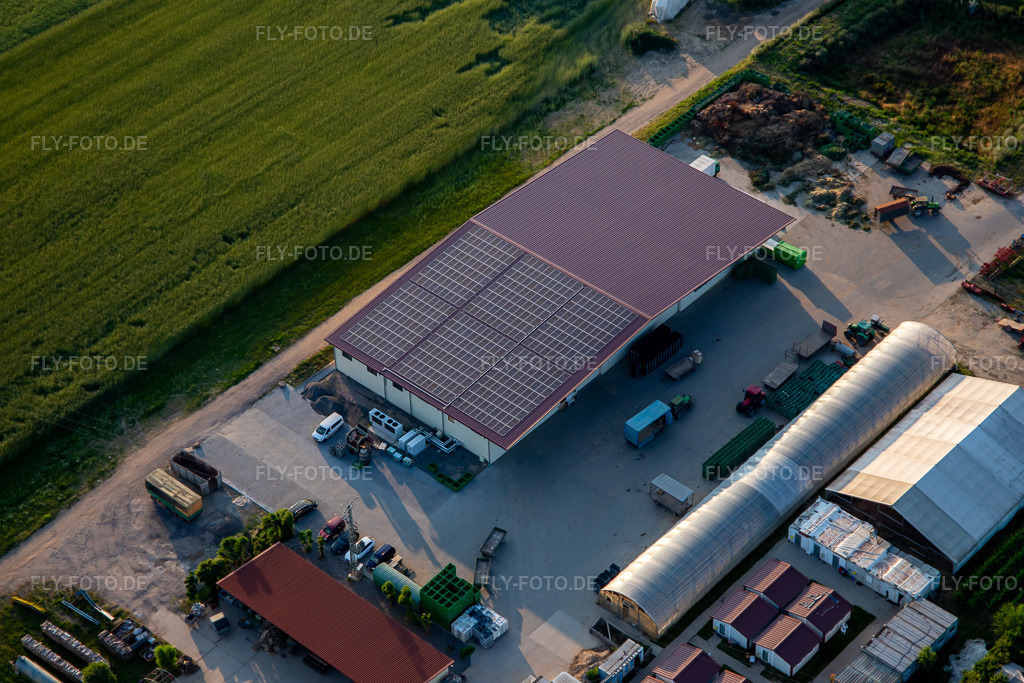Luftbild: Halle von Biohof Kugelmann in Kandel im Bundesland Rheinland-Pfalz in Deutschland. Foto: IMG_136271.jpg vom 07.06.2023 durch Werner Riehm/FLY-FOTO.dePfalzBio