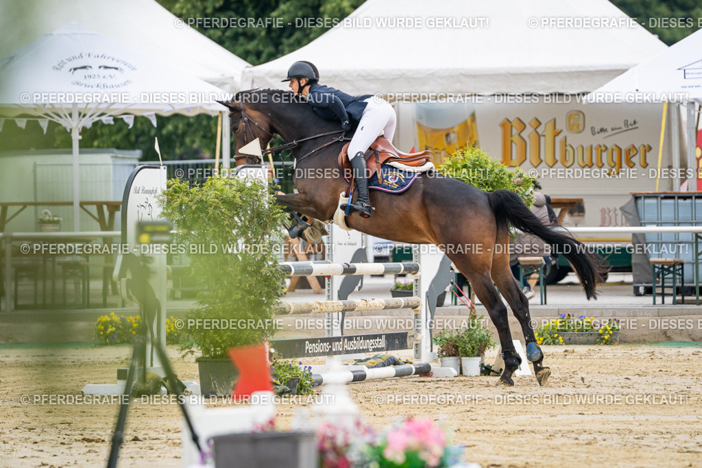 DSC09280 | Pferdegrafie