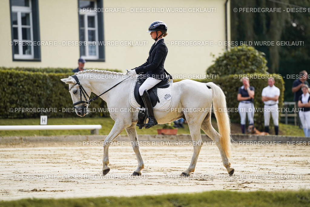 DSC05447 | Pferdegrafie