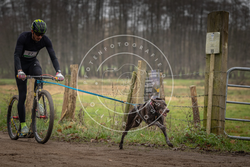 Pfotenfotografie_DV3A2171 | Hundefotografie, Tierfotograf, Pfotenfotografie, Fotoshooting Hund, Hunde Portrait, Hundesport, Hundeportraits, Heideshooting, Hunde, Sportfotograf, Hundefotograf, Turnierhundsport, THS,  - Realisiert mit Pictrs.com